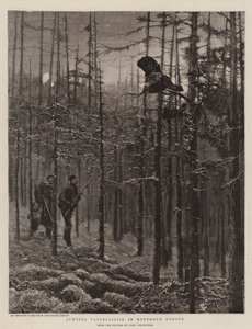 Hoppa tjäder i norra Europa